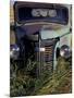 Old Truck in Field, Gennesse, Idaho, USA-Darrell Gulin-Mounted Photographic Print