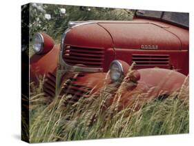 Old Truck in Grassy Field, Whitman County, Washington, USA-Julie Eggers-Stretched Canvas