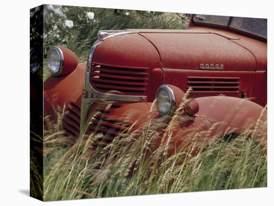 Old Truck in Grassy Field, Whitman County, Washington, USA-Julie Eggers-Stretched Canvas