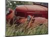 Old Truck in Grassy Field, Whitman County, Washington, USA-Julie Eggers-Mounted Photographic Print