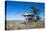 Old Truck on a Huge Pole-Michael Runkel-Stretched Canvas