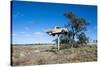 Old Truck on a Huge Pole-Michael Runkel-Stretched Canvas