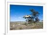 Old Truck on a Huge Pole-Michael Runkel-Framed Photographic Print