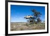 Old Truck on a Huge Pole-Michael Runkel-Framed Photographic Print