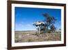 Old Truck on a Huge Pole-Michael Runkel-Framed Photographic Print