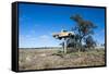 Old Truck on a Huge Pole-Michael Runkel-Framed Stretched Canvas