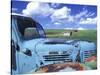 Old Truck, Palouse Region, near Pullman, Washington, USA-Darrell Gulin-Stretched Canvas