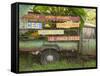 Old Truck with Spice Signs, Basse-Terre, Guadaloupe, Caribbean-Walter Bibikow-Framed Stretched Canvas