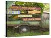 Old Truck with Spice Signs, Basse-Terre, Guadaloupe, Caribbean-Walter Bibikow-Stretched Canvas