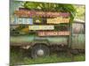 Old Truck with Spice Signs, Basse-Terre, Guadaloupe, Caribbean-Walter Bibikow-Mounted Photographic Print