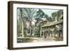 Old View of Versailles-null-Framed Art Print