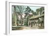 Old View of Versailles-null-Framed Premium Giclee Print