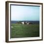 Old Viking-Style Icelandic Turf Farm-CM Dixon-Framed Premium Photographic Print