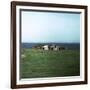 Old Viking-Style Icelandic Turf Farm-CM Dixon-Framed Photographic Print