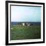 Old Viking-Style Icelandic Turf Farm-CM Dixon-Framed Photographic Print