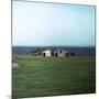 Old Viking-Style Icelandic Turf Farm-CM Dixon-Mounted Photographic Print