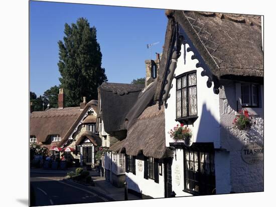 Old Village, Shanklin, Isle of Wight, England, United Kingdom-Charles Bowman-Mounted Photographic Print