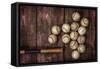 Old Vintage Baseball Background.-soupstock-Framed Stretched Canvas