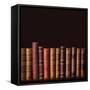 Old Vintage Books Standing in a Row-egal-Framed Stretched Canvas