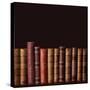 Old Vintage Books Standing in a Row-egal-Stretched Canvas