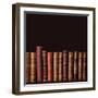 Old Vintage Books Standing in a Row-egal-Framed Photographic Print