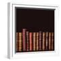 Old Vintage Books Standing in a Row-egal-Framed Photographic Print
