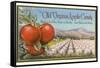 Old Virginia Apple Candy-null-Framed Stretched Canvas