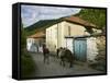 Old Vlach Mountain Village, Maloviste Village, Pelister National Park, Macedonia-Walter Bibikow-Framed Stretched Canvas