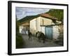 Old Vlach Mountain Village, Maloviste Village, Pelister National Park, Macedonia-Walter Bibikow-Framed Photographic Print