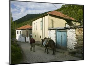 Old Vlach Mountain Village, Maloviste Village, Pelister National Park, Macedonia-Walter Bibikow-Mounted Photographic Print