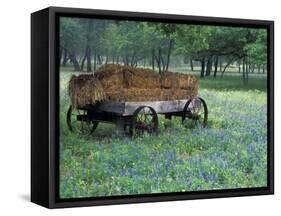 Old Wagon and Wildflowers, Devine, Texas, USA-Darrell Gulin-Framed Stretched Canvas