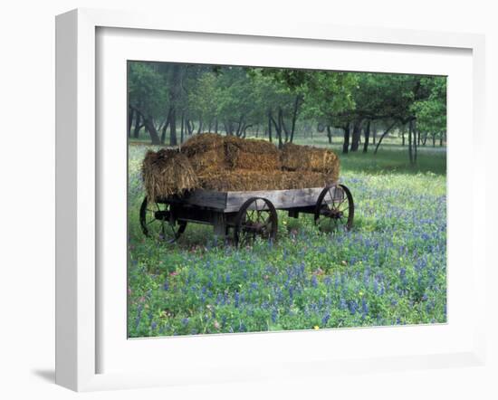 Old Wagon and Wildflowers, Devine, Texas, USA-Darrell Gulin-Framed Premium Photographic Print