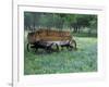 Old Wagon and Wildflowers, Devine, Texas, USA-Darrell Gulin-Framed Photographic Print