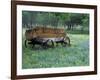 Old Wagon and Wildflowers, Devine, Texas, USA-Darrell Gulin-Framed Photographic Print