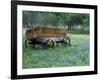 Old Wagon and Wildflowers, Devine, Texas, USA-Darrell Gulin-Framed Photographic Print