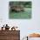 Old Wagon and Wildflowers, Devine, Texas, USA-Darrell Gulin-Photographic Print displayed on a wall