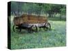 Old Wagon and Wildflowers, Devine, Texas, USA-Darrell Gulin-Stretched Canvas