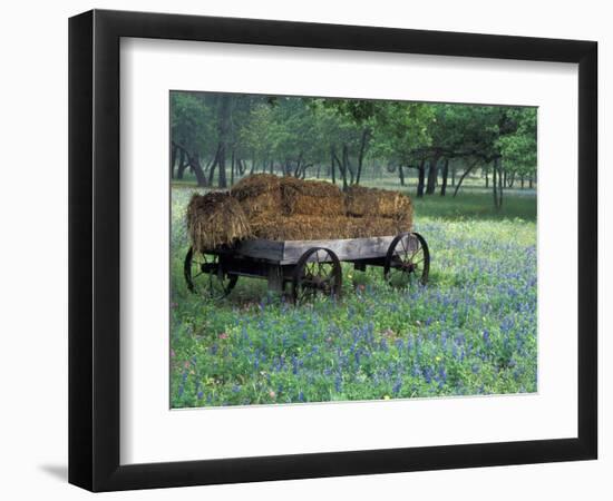 Old Wagon and Wildflowers, Devine, Texas, USA-Darrell Gulin-Framed Photographic Print