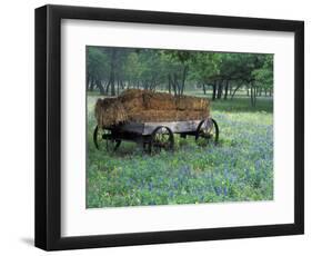 Old Wagon and Wildflowers, Devine, Texas, USA-Darrell Gulin-Framed Photographic Print