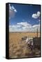 Old Wagon, Prairie Homestead, Cactus Flat, South Dakota, USA-Walter Bibikow-Framed Stretched Canvas