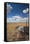 Old Wagon, Prairie Homestead, Cactus Flat, South Dakota, USA-Walter Bibikow-Framed Stretched Canvas