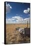 Old Wagon, Prairie Homestead, Cactus Flat, South Dakota, USA-Walter Bibikow-Framed Stretched Canvas