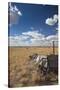 Old Wagon, Prairie Homestead, Cactus Flat, South Dakota, USA-Walter Bibikow-Stretched Canvas