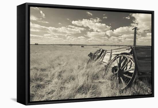 Old Wagon, Prairie Homestead, Cactus Flat, South Dakota, USA-Walter Bibikow-Framed Stretched Canvas