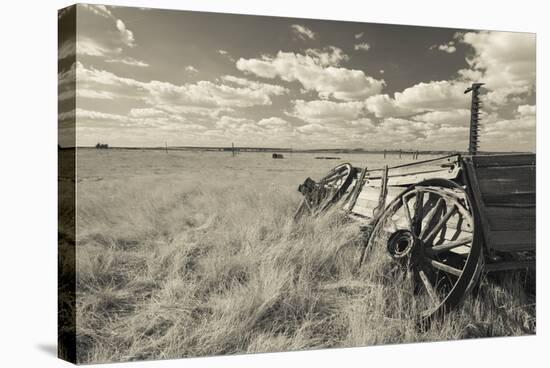 Old Wagon, Prairie Homestead, Cactus Flat, South Dakota, USA-Walter Bibikow-Stretched Canvas