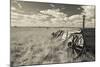 Old Wagon, Prairie Homestead, Cactus Flat, South Dakota, USA-Walter Bibikow-Mounted Photographic Print