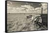 Old Wagon, Prairie Homestead, Cactus Flat, South Dakota, USA-Walter Bibikow-Framed Stretched Canvas