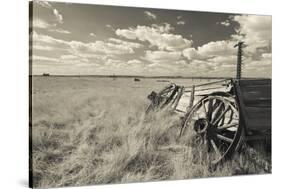 Old Wagon, Prairie Homestead, Cactus Flat, South Dakota, USA-Walter Bibikow-Stretched Canvas