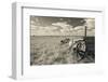 Old Wagon, Prairie Homestead, Cactus Flat, South Dakota, USA-Walter Bibikow-Framed Photographic Print