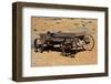 Old wagon, Rock Art Ranch, near Holbrook, Arizona, USA-Michel Hersen-Framed Photographic Print